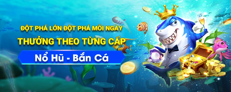 Đá Gà Trực Tiếp: Cập Nhật Thông Tin Mới Nhất Về Trường C4